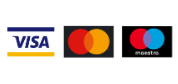 Visa, mastercard and maestro icons